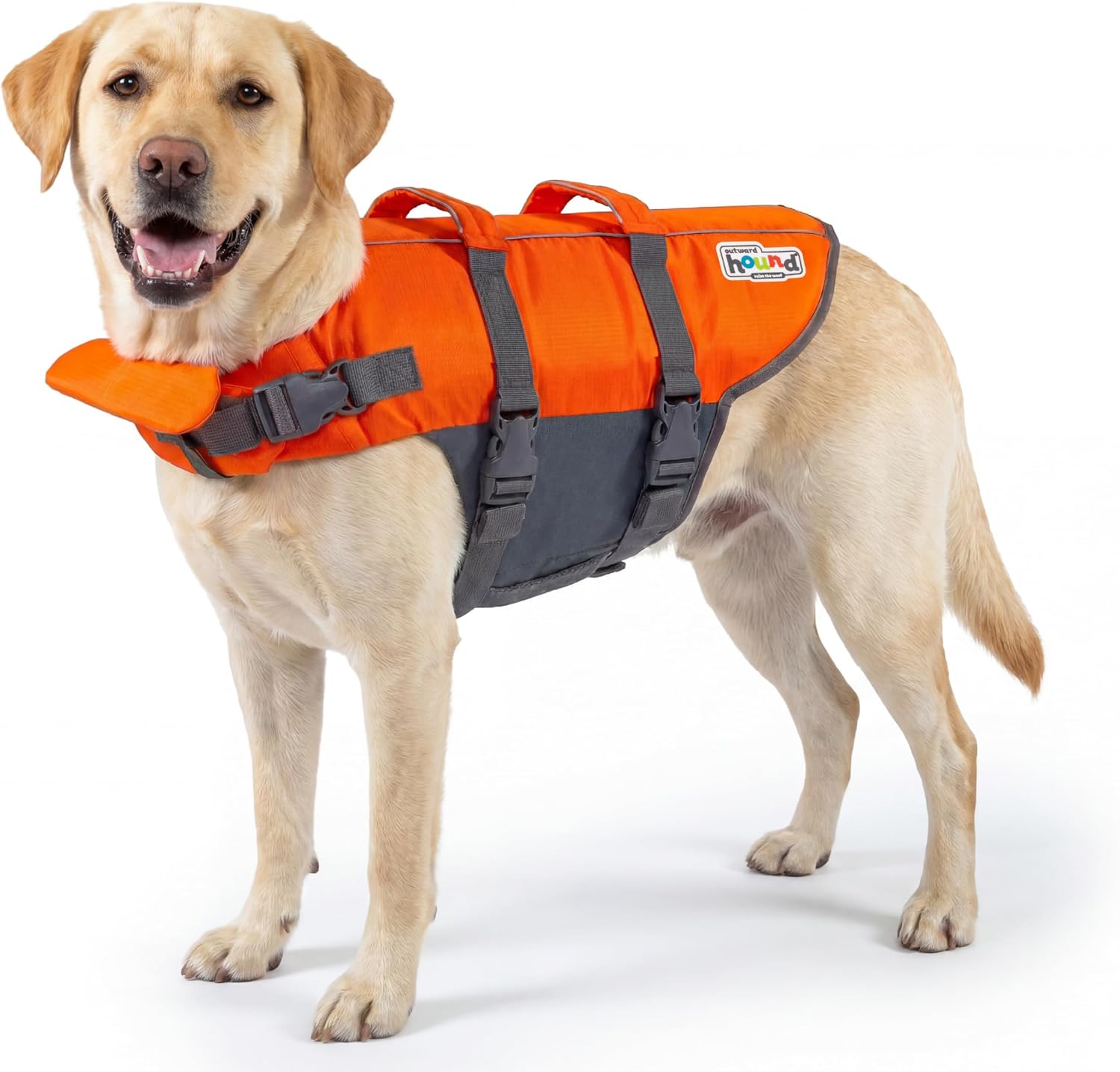 Outward Hound Dog Life Jacket