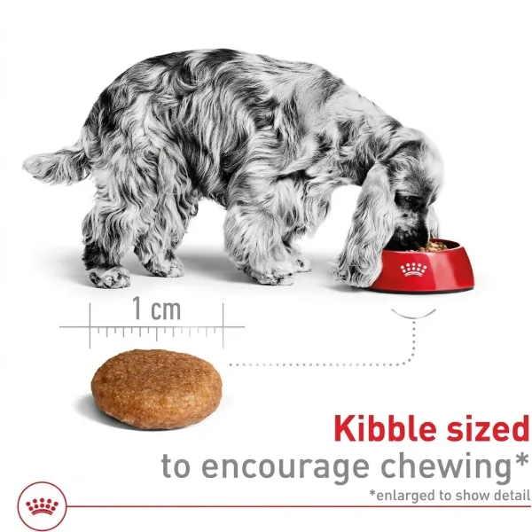 Royal Canin Adult Medium Breed Dog Food - image 2