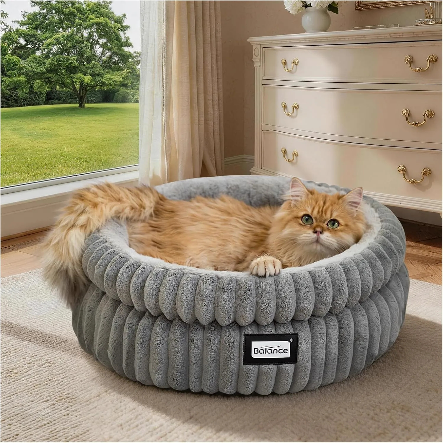 Frisco Cuffed Cuddler Cat & Dog Bed