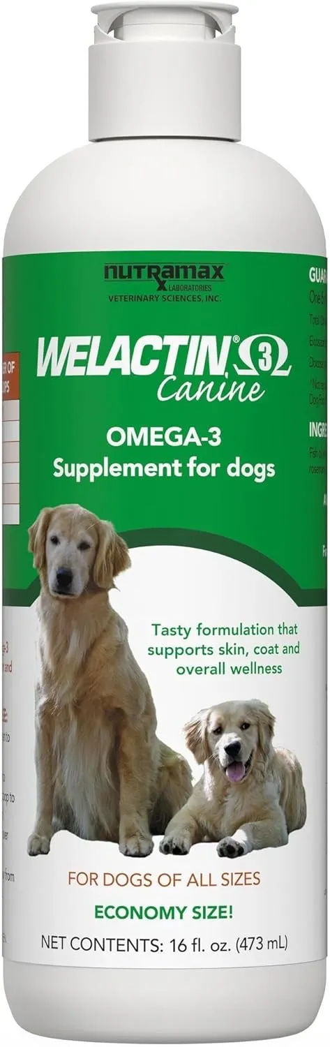 Welactin Omega-3 Softgels Review | Best Fish Oil for Dogs