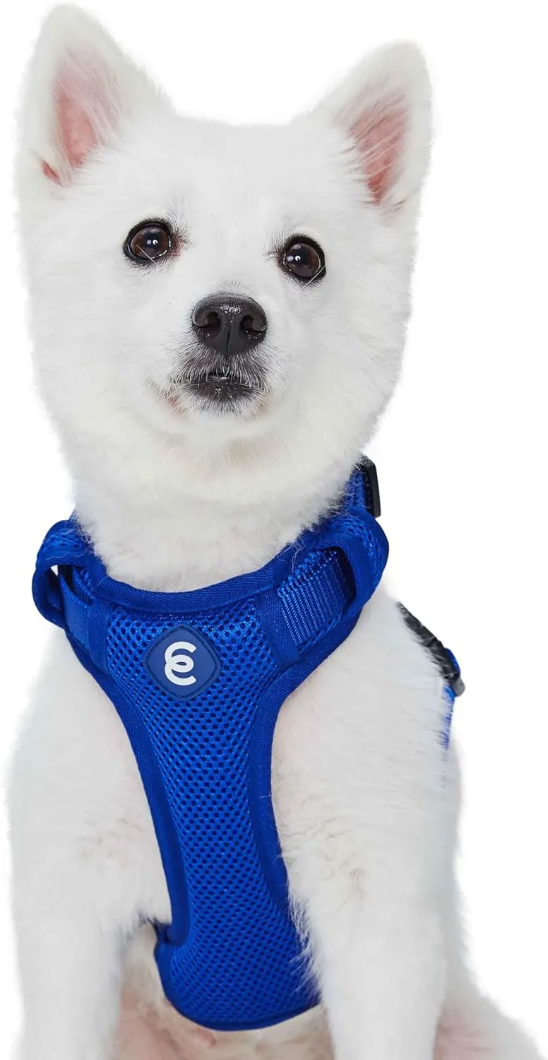 Blueberry Pet Essentials Classic Solid Nylon Step-In & Easy Walk Dog Harness