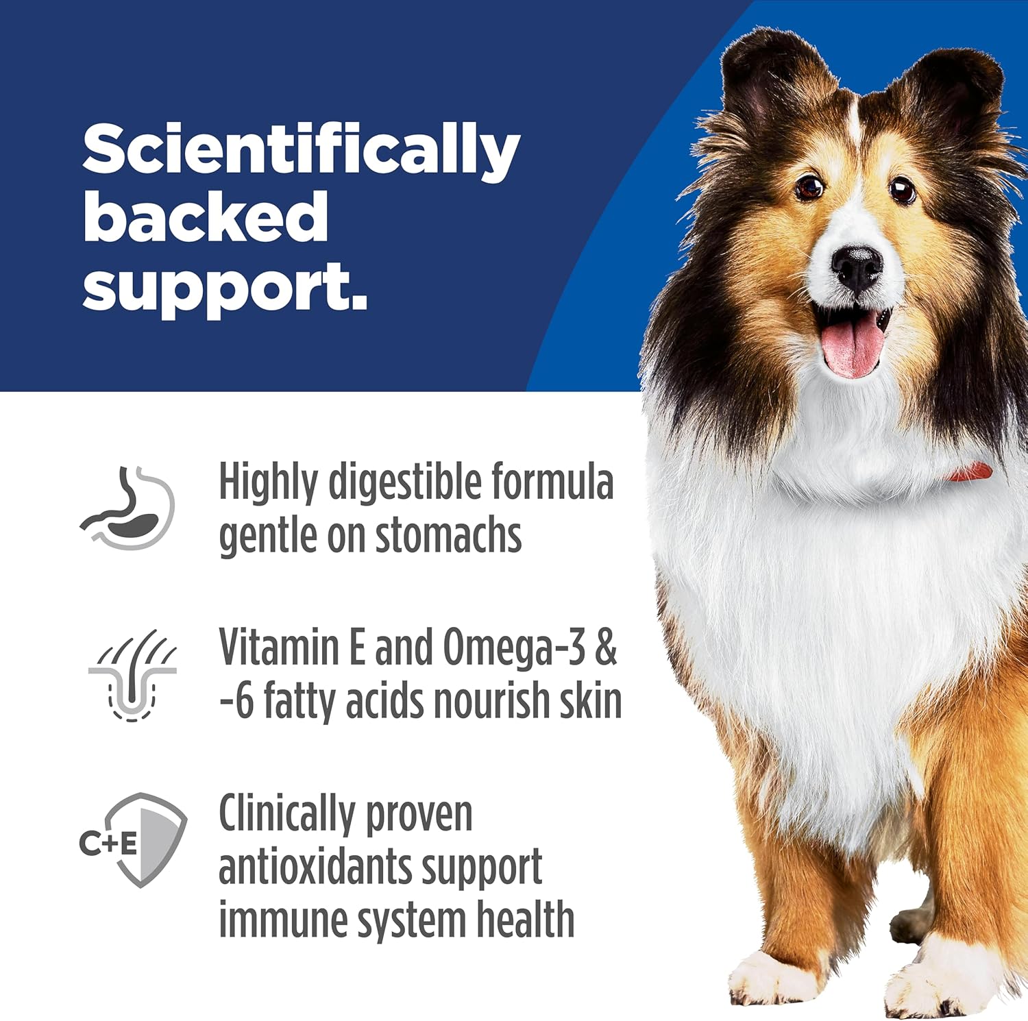 Hill's Science Diet Adult Sensitive Stomach & Skin Dry Dog Food – Chicken Recipe