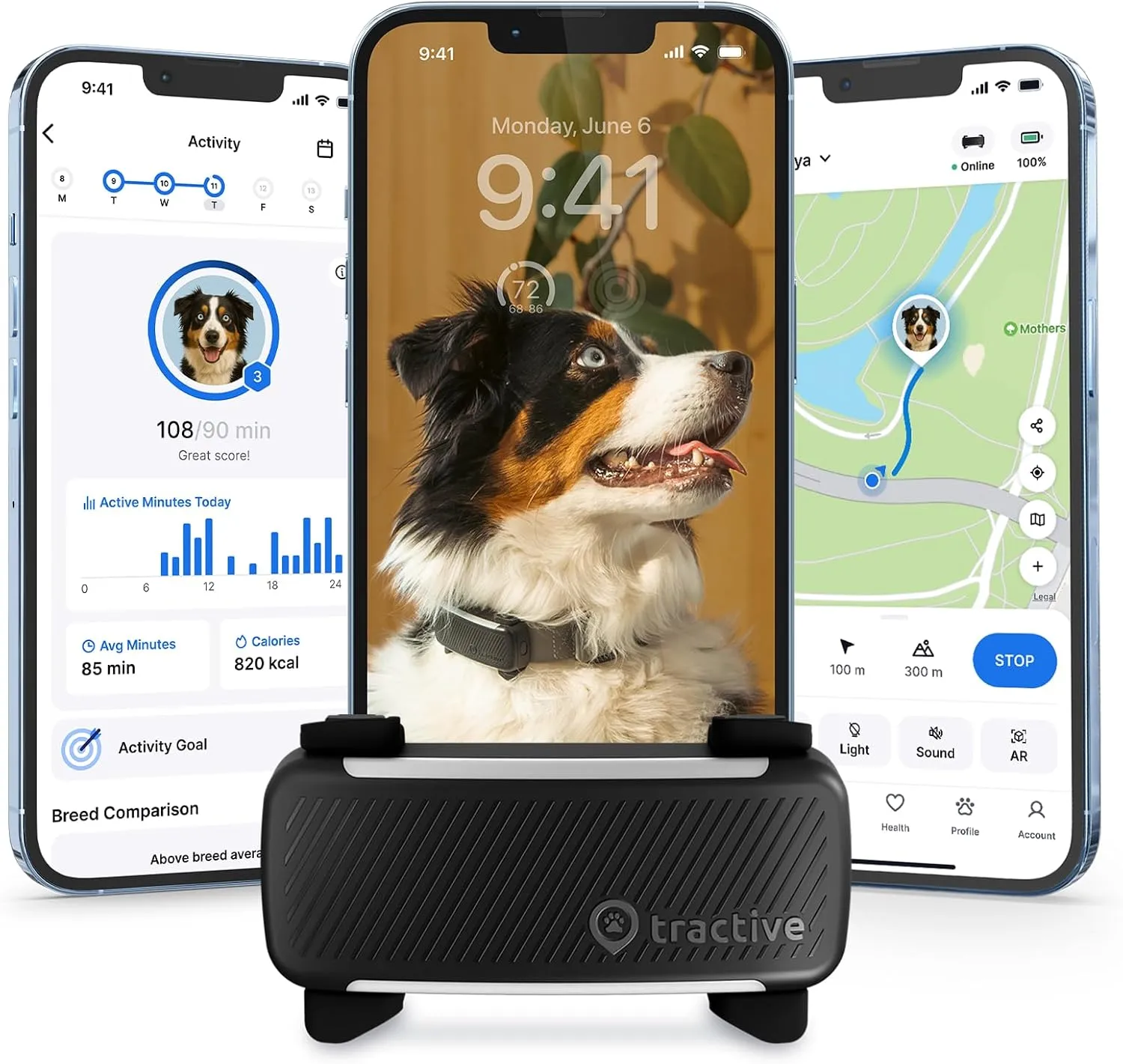 Whistle Dog Tracker Review | GPS + Health Monitoring