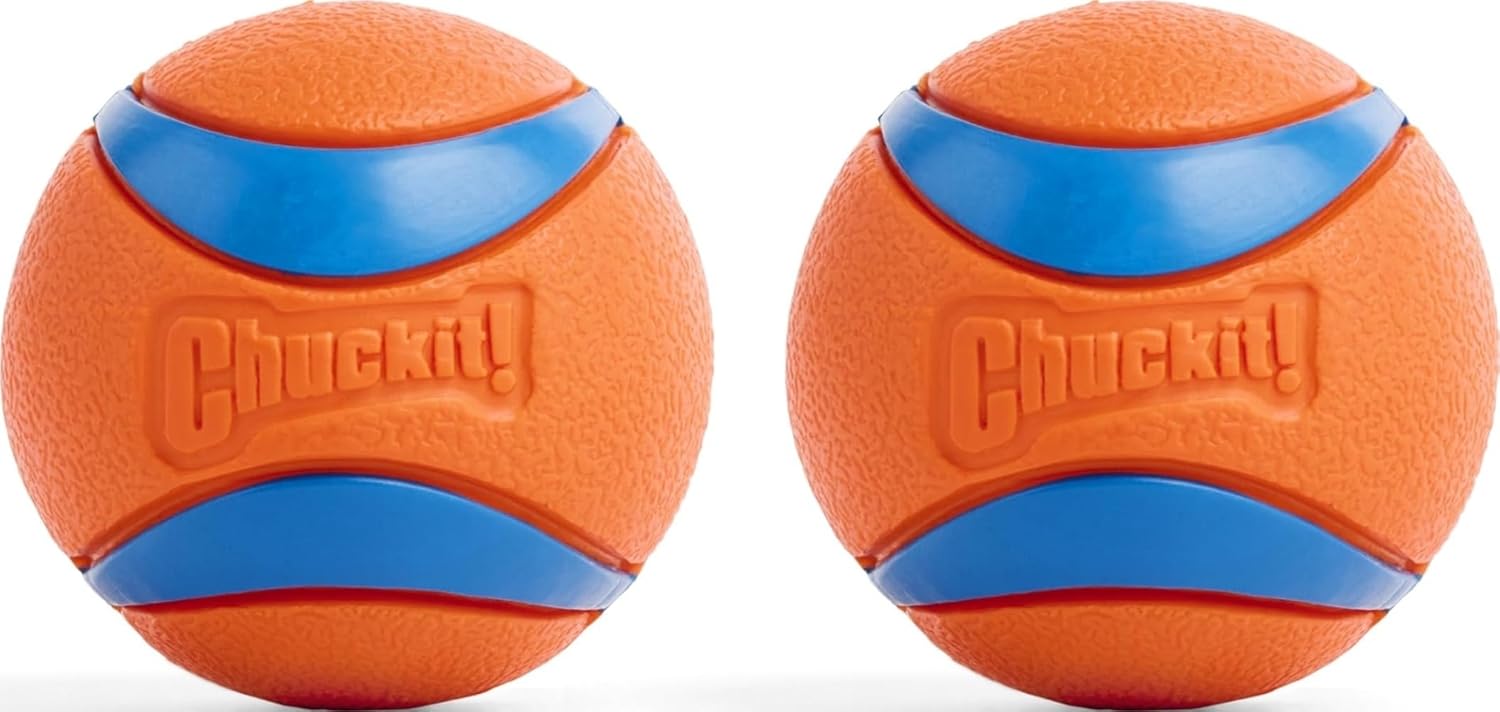 Chuckit! Ultra Ball High-Bounce Fetch Toy
